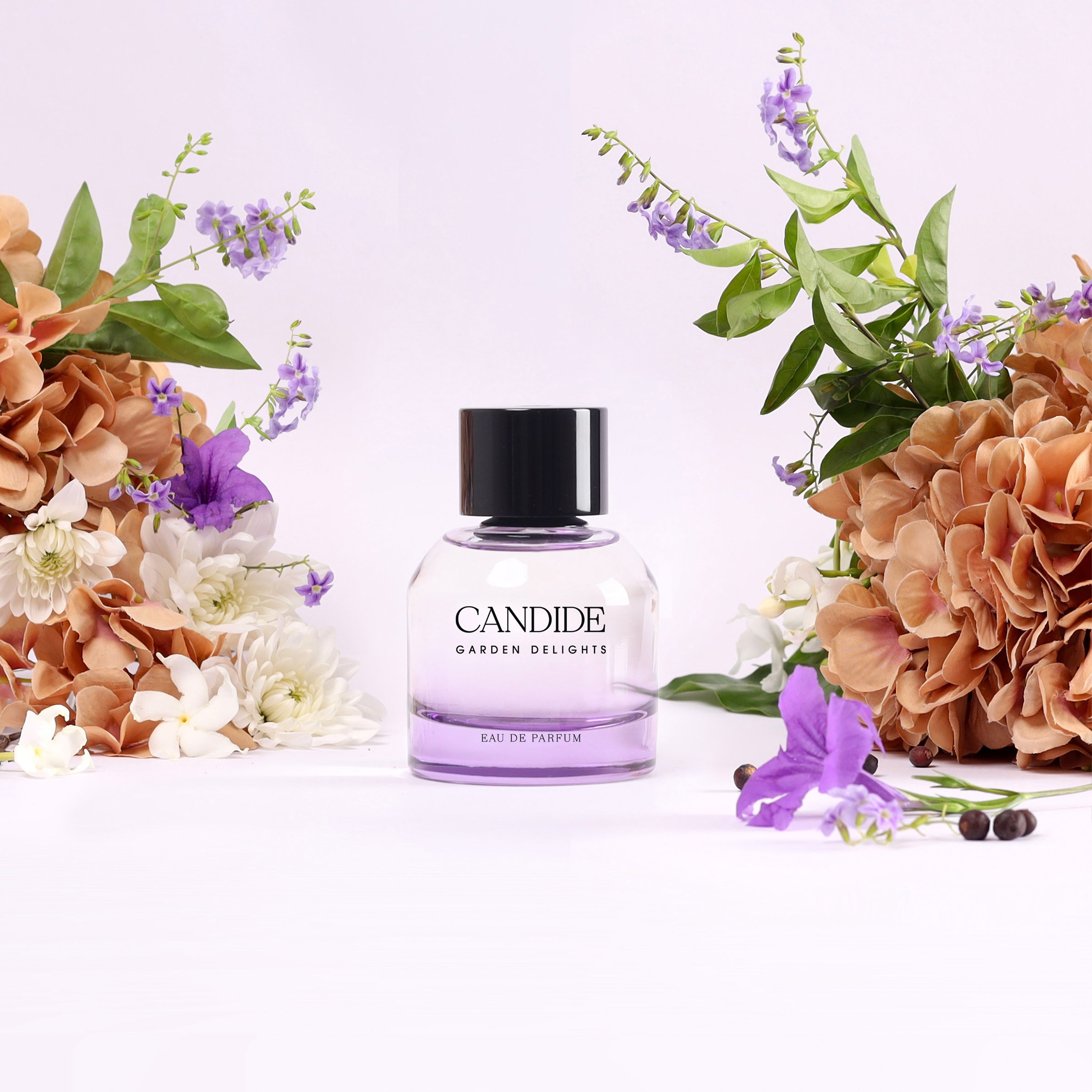 CANDIDE - GARDEN DELIGHTS